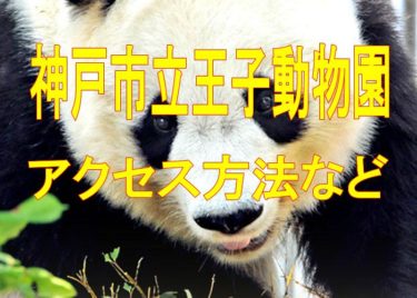 神戸市立王子動物園のアクセス方法や営業時間・料金！すぐ分かる